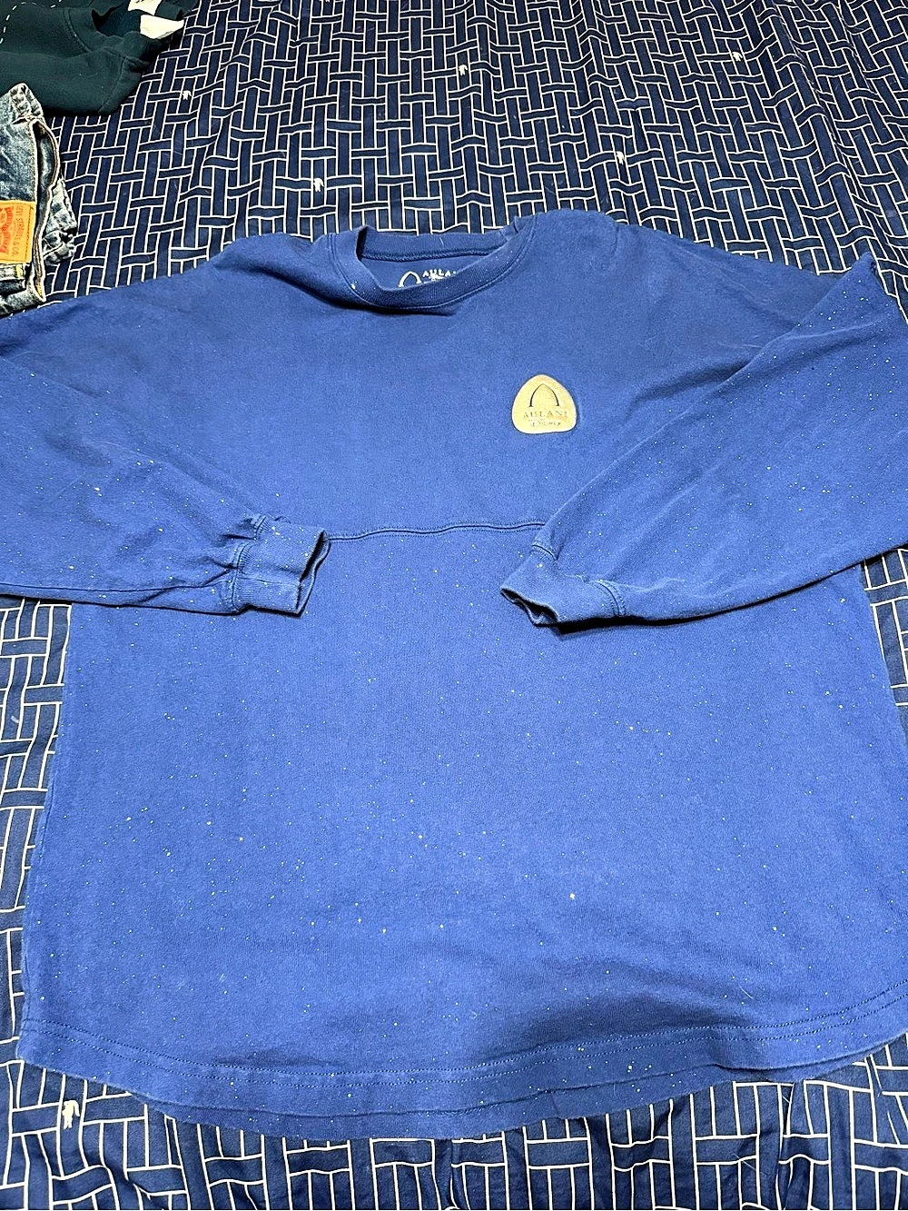 Aulani Spirit Jersey Blue Size Large